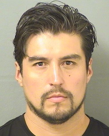 CARLOS ORTEGA HOYOS CARLOS ORTEGA HOYOS