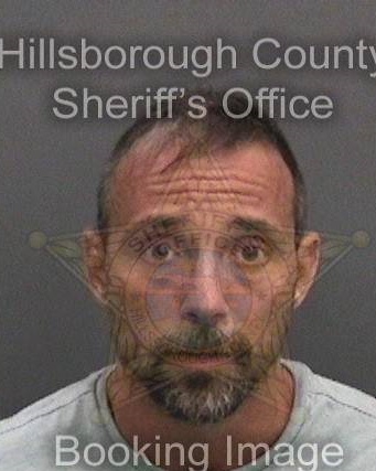 CLINT EVERETT SHULTZ CLINT EVERETT SHULTZ