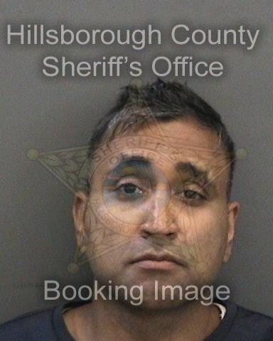 DAVENDRA SINGH YADAV DAVENDRA SINGH YADAV