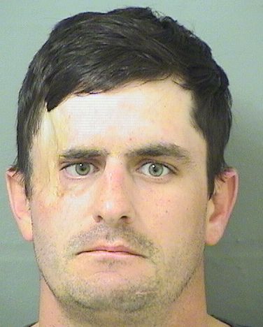 DAVID GARDNER MACINTOSH