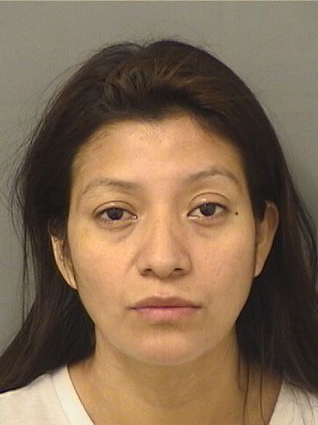 ELSA CRISTINA VELASQUEZ OVALLE