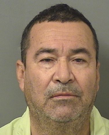 GUILLERMO ANTONIO VERDE ROMERO