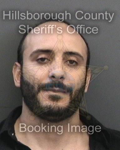 HOUSAMEDDIN ALI ELMEGREHI HOUSAMEDDIN ALI ELMEGREHI