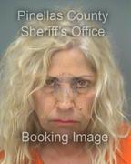 LISA ANN FEINBERG LISA ANN FEINBERG