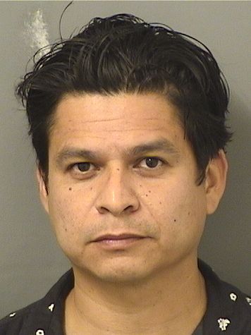 MARIO ERNESTO TORRES AMAYA