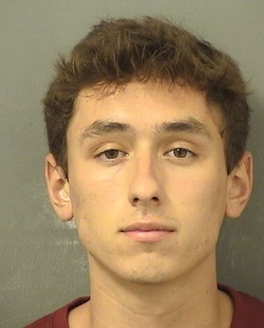 MATTHEW GEORGE CHESNUT