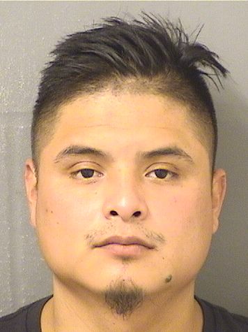 NEFTALI DOMINGUEZ ZENON