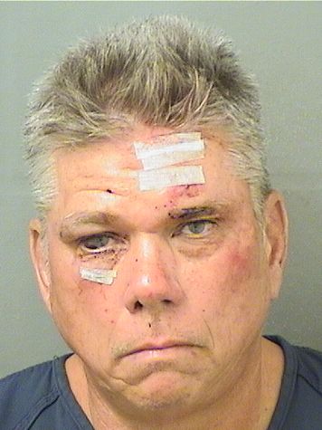 PETER NELSON PETER NELSON