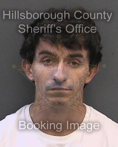 SCOTT MITCHELL SCANNELL SCOTT MITCHELL SCANNELL