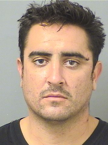 VINCENT MICHAEL PECK VINCENT MICHAEL PECK