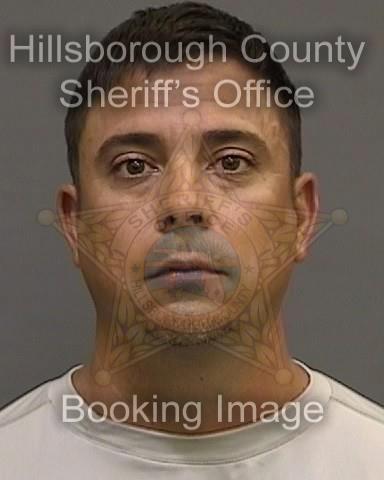 BRADLEY SCOTT JOHNSON BRADLEY SCOTT JOHNSON