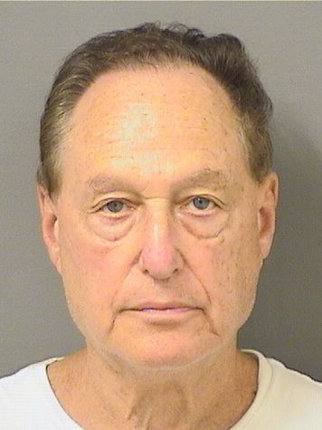 DAVID WILDSTEIN DAVID WILDSTEIN