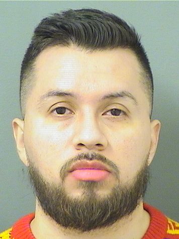 GUSTAVO IBANEZ GONZALEZ