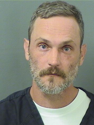 CRAIG STEYN CRAIG STEYN