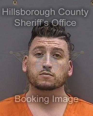 DANIEL STEVEN IANNARELLI