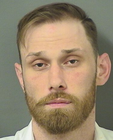 DAVID MICHAEL LUTZ MEYER