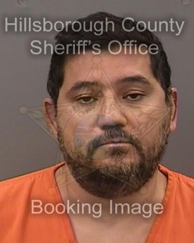 EHAB HOSNY EHAB HOSNY