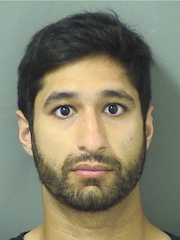 ELIEZER GOLDSTEIN ELIEZER GOLDSTEIN