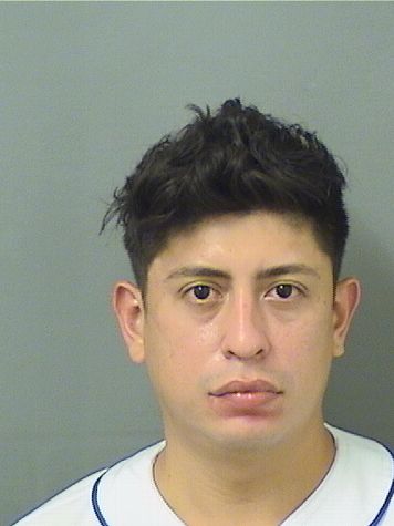 NORLAN JOSUE LUNA PALACIOS