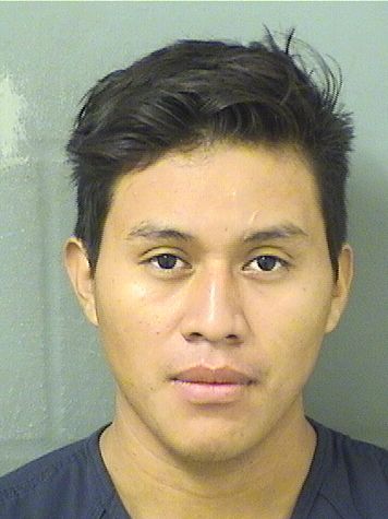 AVELINO CHIVALAN CARILLO AVELINO CHIVALAN CARILLO