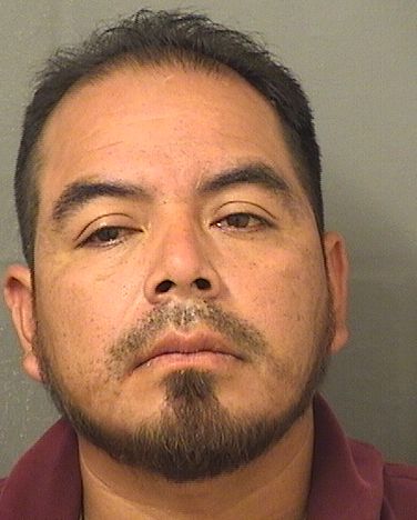 CAYETANO SILVESTRE DOMINGO CAYETANO SILVESTRE DOMINGO