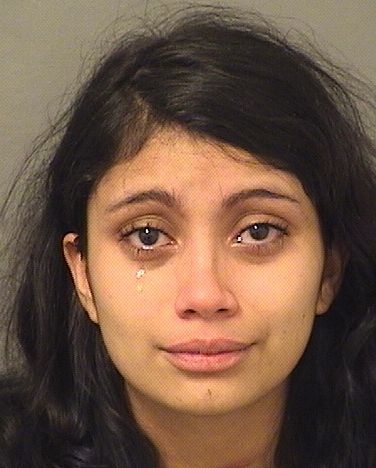 DIANA ALEJANDRA PINZON DIANA ALEJANDRA PINZON