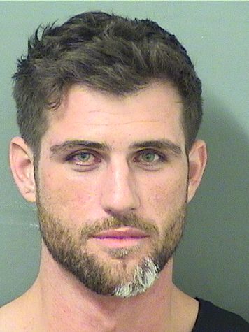 LOUIS AARON SANET LOUIS AARON SANET