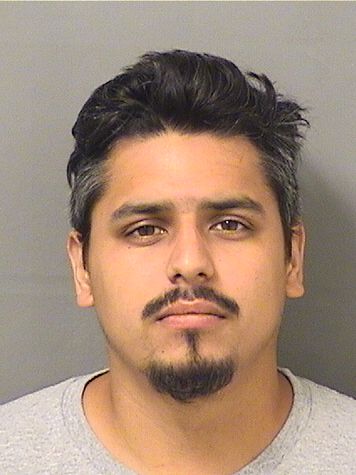 LUIS FERNANDO VELAZQUEZ LUIS FERNANDO VELAZQUEZ