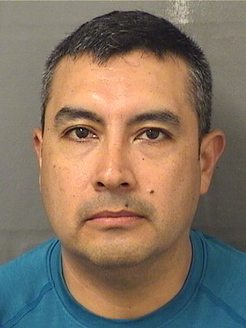 MARCO VINICIO GAVILANES MARCO VINICIO GAVILANES