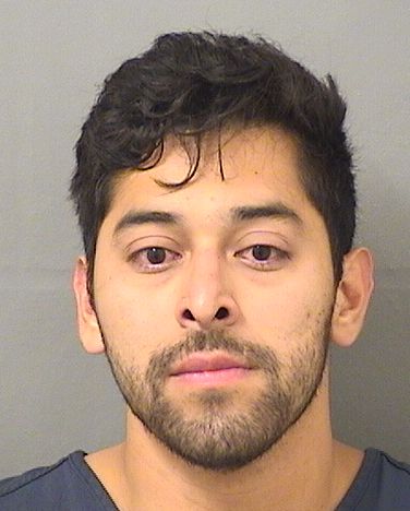 OBERTI DELGADO VILLATORO