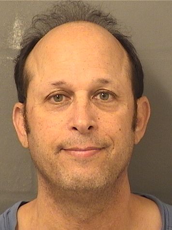 STEVEN STEINFELD STEVEN STEINFELD