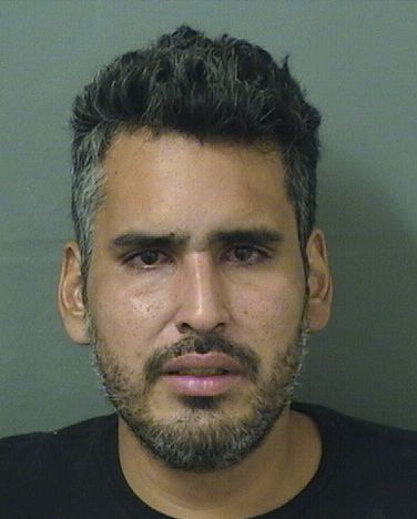 STEVENS INSUASTI STEVENS INSUASTI